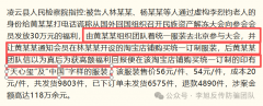 套：冒用国度能源集团表面